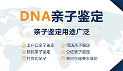 常州司法DNA亲子鉴定哪里做